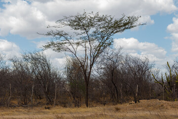clouds over the countryside