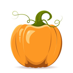 Pumpkin on white background. Pumpkin in flat style. Bright pumpkin isolate with shadows and highlights.