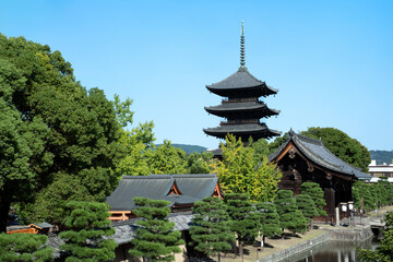 東寺五重塔を望む 教王護国寺