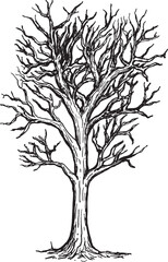 Hand-drawn tree illustration showcasing intricate branch details and natural textures