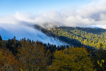 Autumn view of the Great Smoky Mountains.