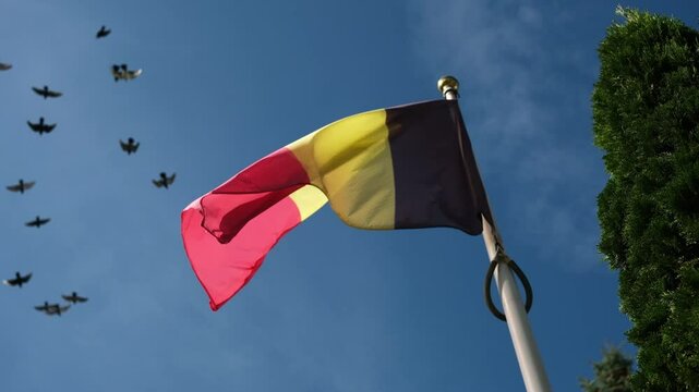National Belgium Flag Waving Against The Sky Background On A Pole