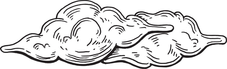 Delicate Hand-Drawn Cloud Floating in the Sky, black and white Illustration sketch 