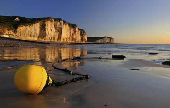 Chalk cliffs of the Alabaster Coast in the evening light, in front a yellow buoy on the beach at low tide, C&ocirc;te d'Alb&acirc;tre, Les Petites Dalles, Normandy, France, Europe