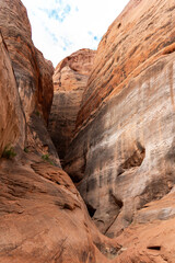 Obraz premium red rock formation in arizona 