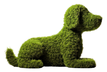 PNG Grass cut in dog shape animal mammal plant.