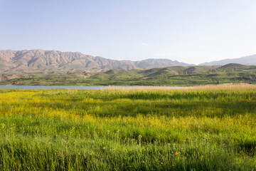 Fototapeta premium Scenery of a lake surrounded y the grass-covered hills of Alborz mountain on a beautiful warm day in Iran.