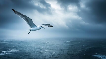 Obraz premium A single seagull flies against a backdrop of dramatic stormy clouds and choppy ocean waves.