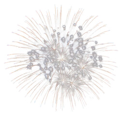 Obraz premium PNG Newyear firework fireworks outdoors night.