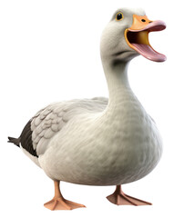 Obraz premium PNG Animal goose bird beak.