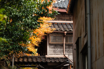 Traditional Wooden House Framed by Autumn Leaves and Greenery