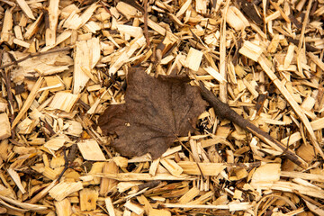 A close-up of a dry leaf resting on a surface of wood chips, emphasizing texture and contrast between the organic materials