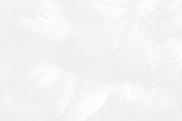 Obraz premium White feathers texture clothing apparel fashion.