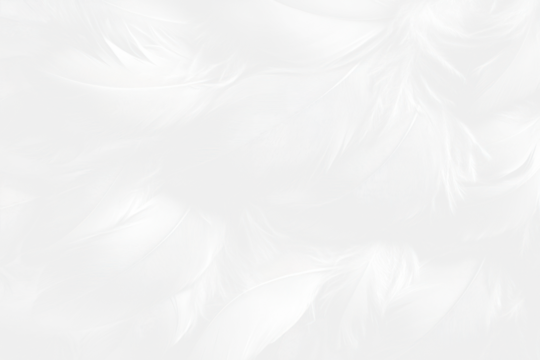 White feathers texture clothing apparel fashion.