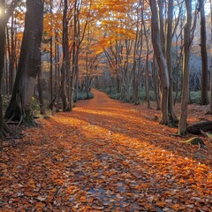 Obraz premium The leaf-covered pathway winds through a vibrant autumn forest.