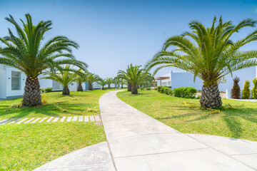 calle con palmeras de condominio de casas 