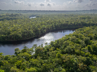 Aerial view of a river meandering through untouched brazilian Amazon rainforest