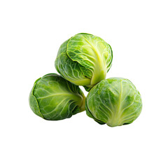 Fototapeta premium Fresh Brussels Sprouts Isolated