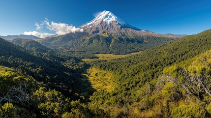 Majestic Snow Capped Mountain Peak Overlooking Lush Forest Valley