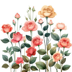 Beautiful assortment of colorful rose flowers in various shades of red pink and yellow blooming in a nature garden with lush green foliage  Romantic and elegant floral design for wedding love