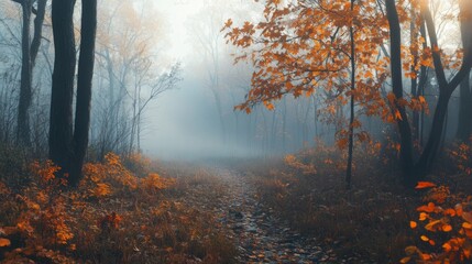 A misty forest path with fallen leaves and sunrays filtering through the trees.