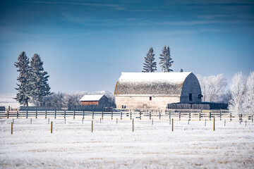 Winter farm scene of an old barn covered in snow with paddocks and frost covered trees in Rocky View County Alberta Canada.
