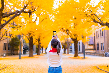 Asian woman enjoy outdoor lifestyle using mobile phone taking picture of beautiful nature of yellow ginkgo tree leaves falling down in autumn at public park in Tokyo city, Japan on holiday vacation. 