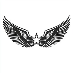 Obraz premium A stylized graphic of wings surrounding a star, symbolizing freedom or achievement.