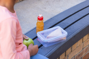 African american girl holding apple with sandwich and juice bottle at school