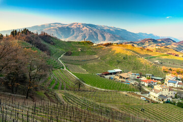 Colline del Prosecco