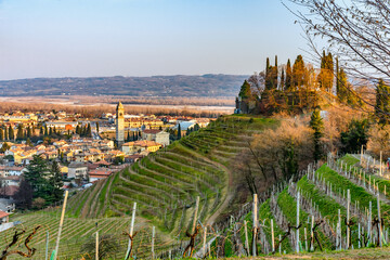 Colline del Prosecco