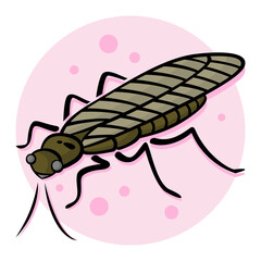 46-Stonefly.svg