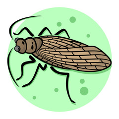 48-Alderfly.svg