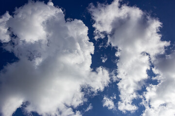Blue sky background with white clouds. Cumulus white clouds in the blue sky.