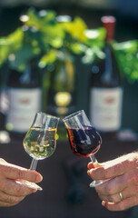 Red and white wine in glasses at a New South Wales winery.