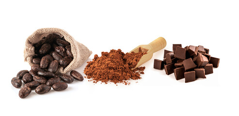 Close up. Aromatic of cocoa beans, cocoa power and chocolate bar isolated on white background.