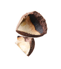 Piece of macadamia nut shell isolated on white