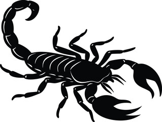 Silhouette of scorpion. Scorpion close-up detailed. Vector scorpion icon on white background.