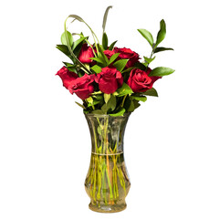 Red Roses and Green Foliage Graphic 