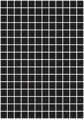 The background image uses grid lines. laying on the black background used in graphics