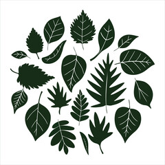 Fototapeta premium leaf icon