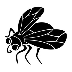 07-Fly.svg