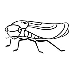 40-Leafhopper.svg
