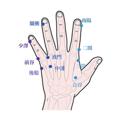 손등 경혈 메디컬 일러스트