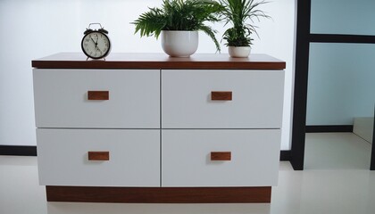 White Dresser with Wooden Top and Decorative Elements in a Minimalist Interior 94