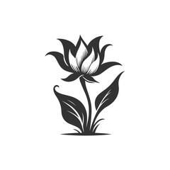 flower vector nature floral