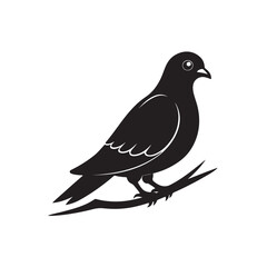 Fototapeta premium Black silhouette of pigeon