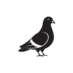 Black silhouette of pigeon