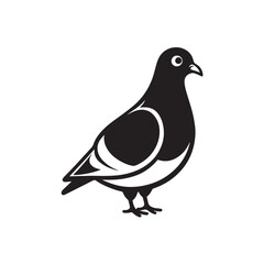 Black silhouette of pigeon