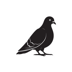 Black silhouette of pigeon